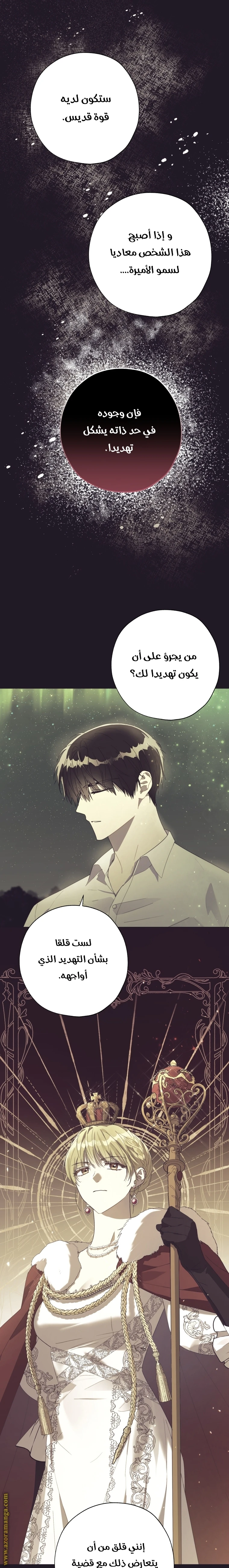 الصفحة 17