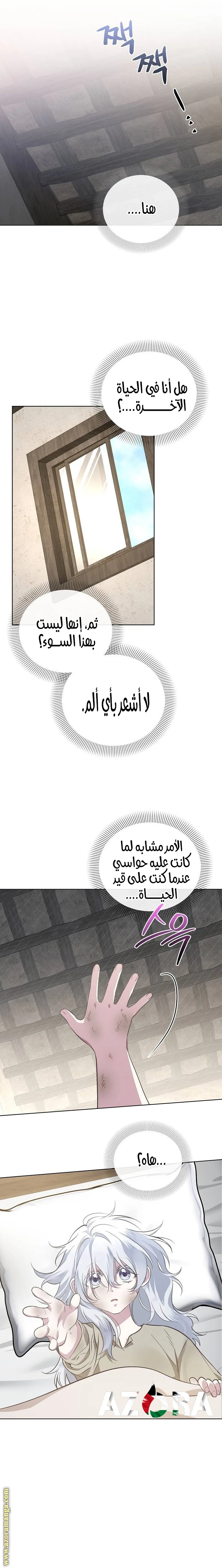 الصفحة 11
