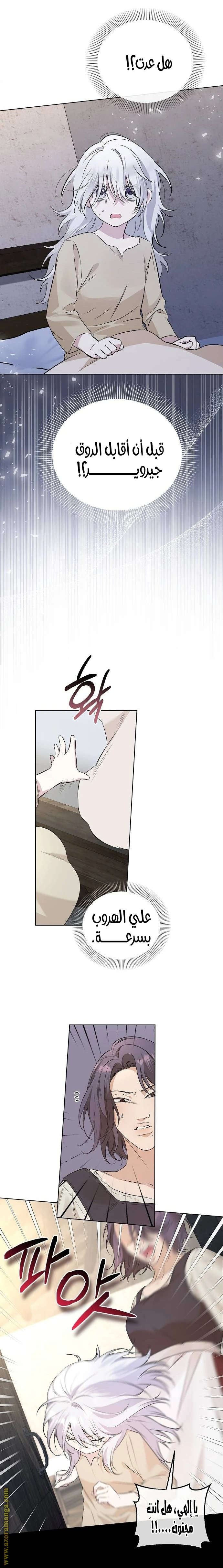 الصفحة 15
