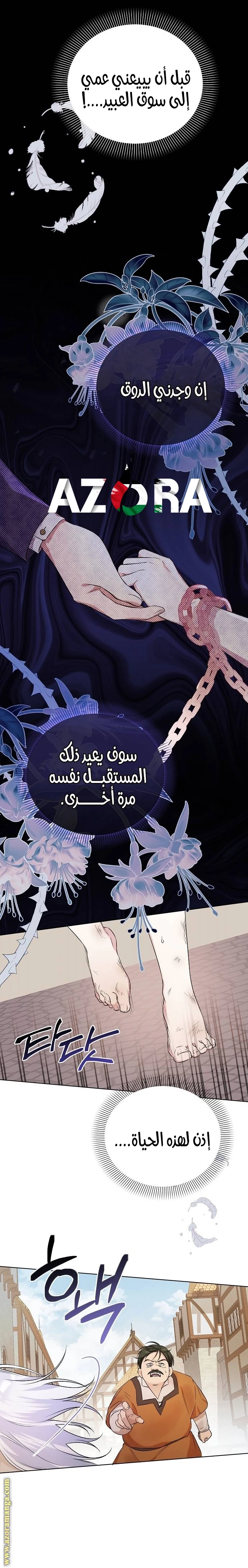 الصفحة 16