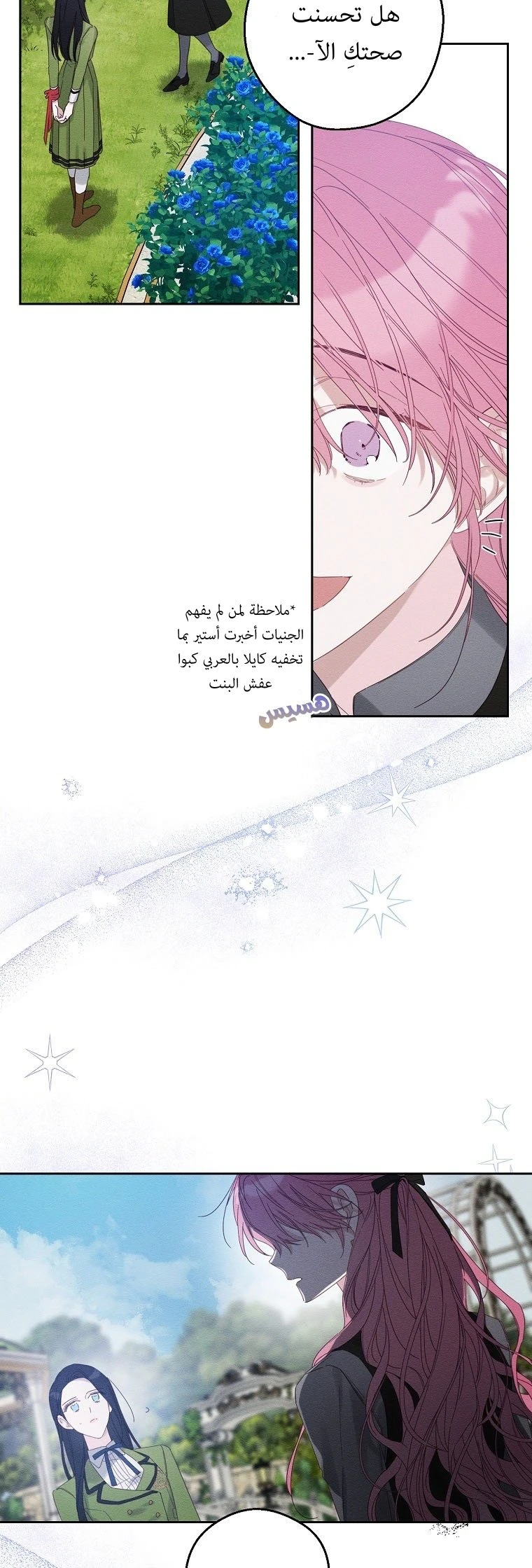 الصفحة 17