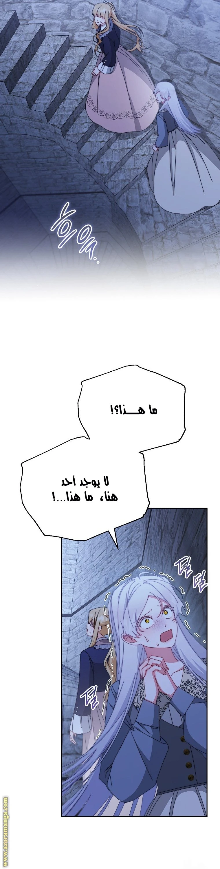 الصفحة 17