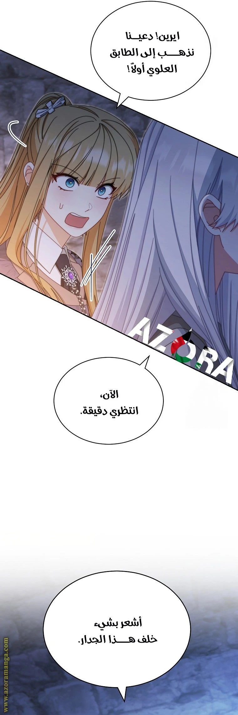 الصفحة 25
