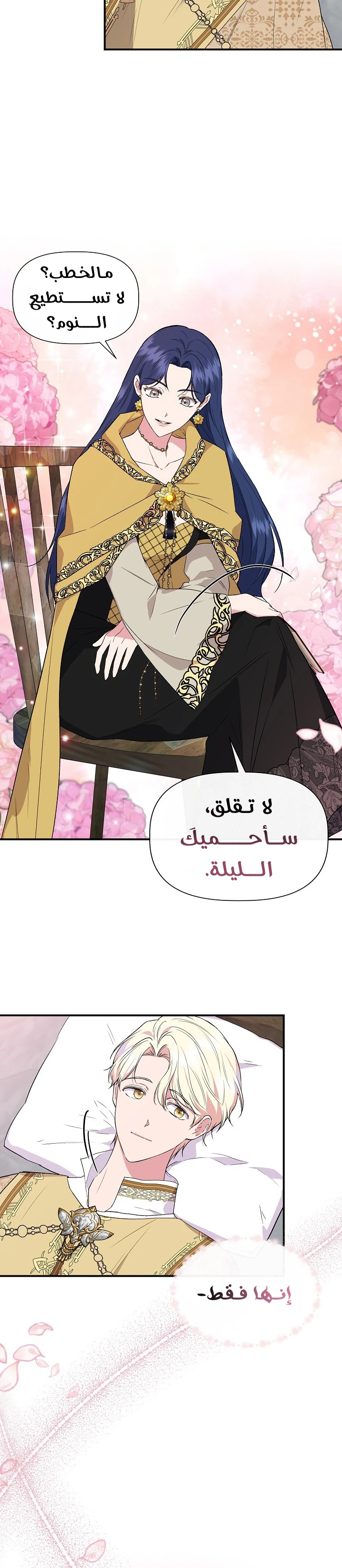 الصفحة 12