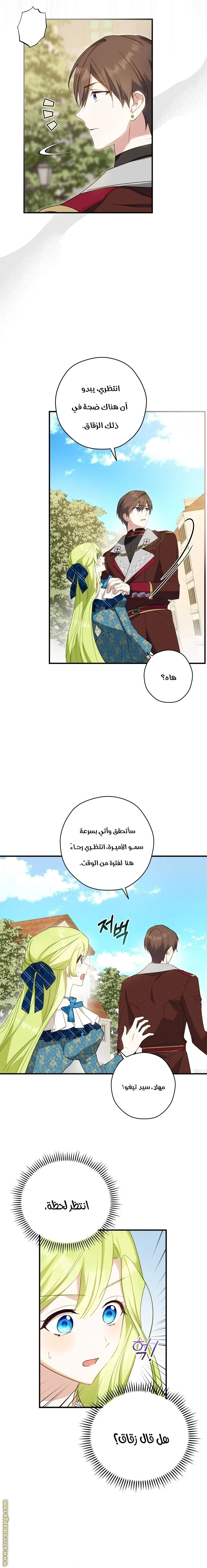 الصفحة 15