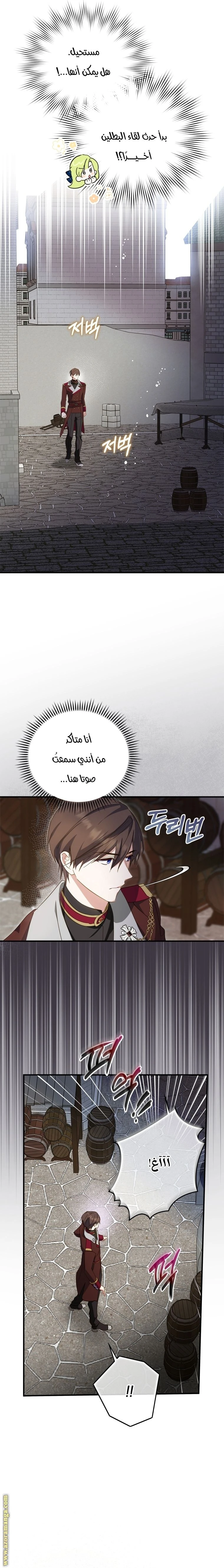 الصفحة 16