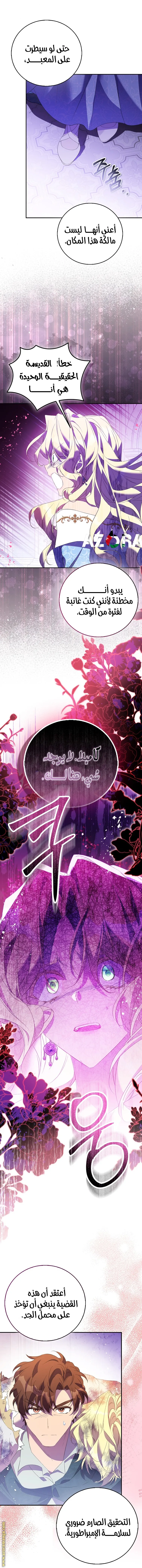 الصفحة 17