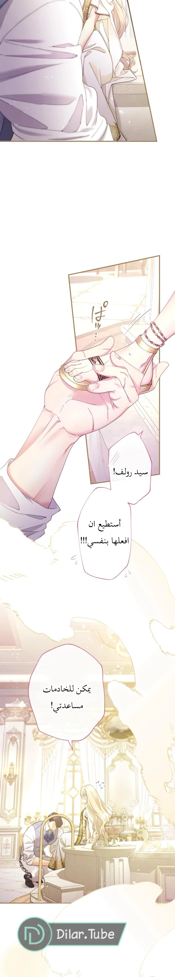 الصفحة 3