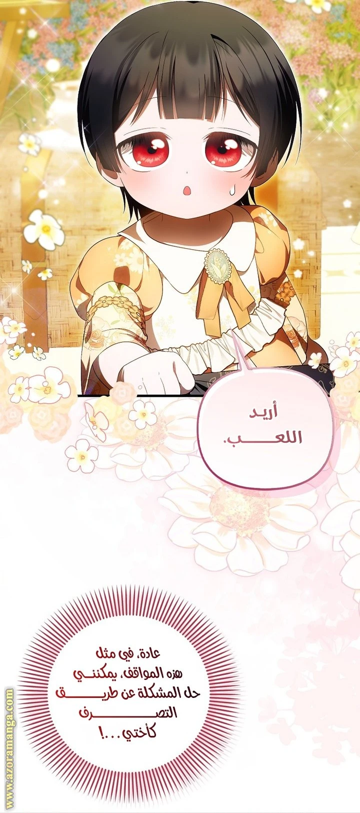 الصفحة 26