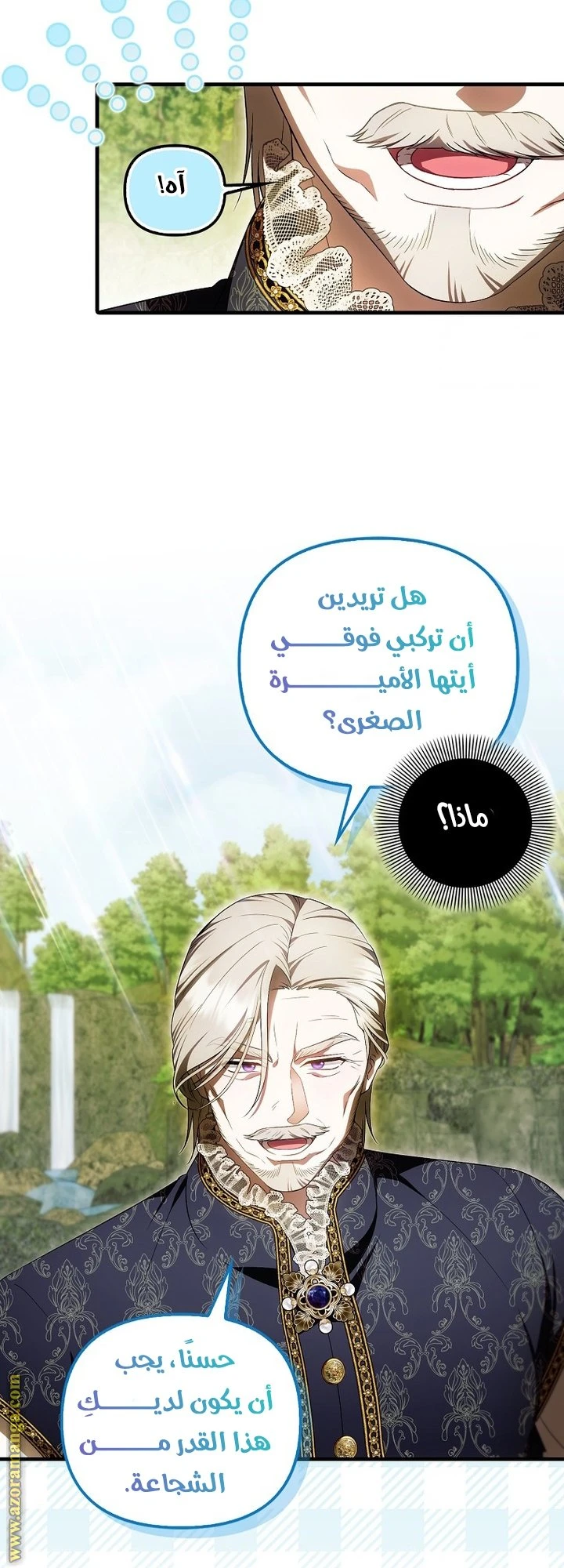 الصفحة 29