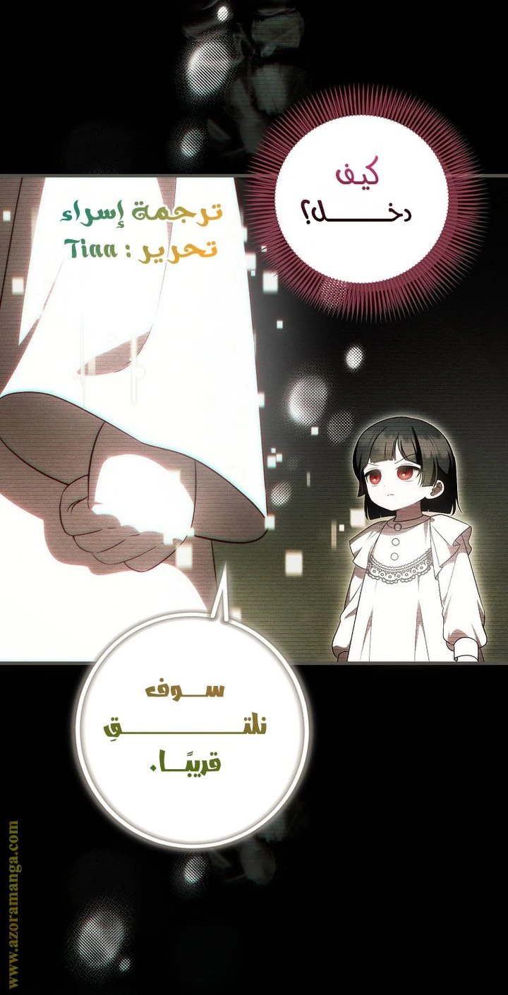 الصفحة 48