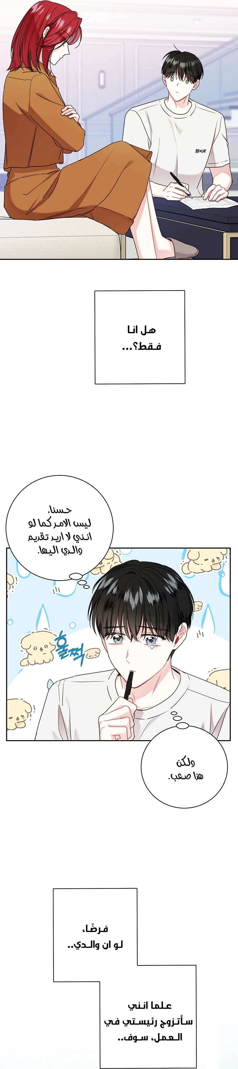 الصفحة 20