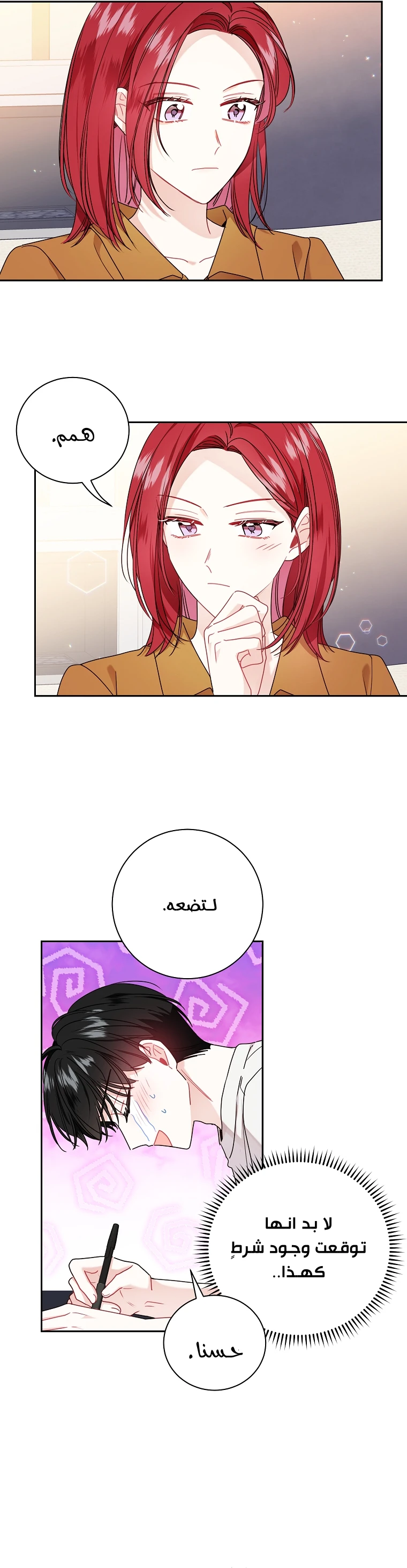 الصفحة 26