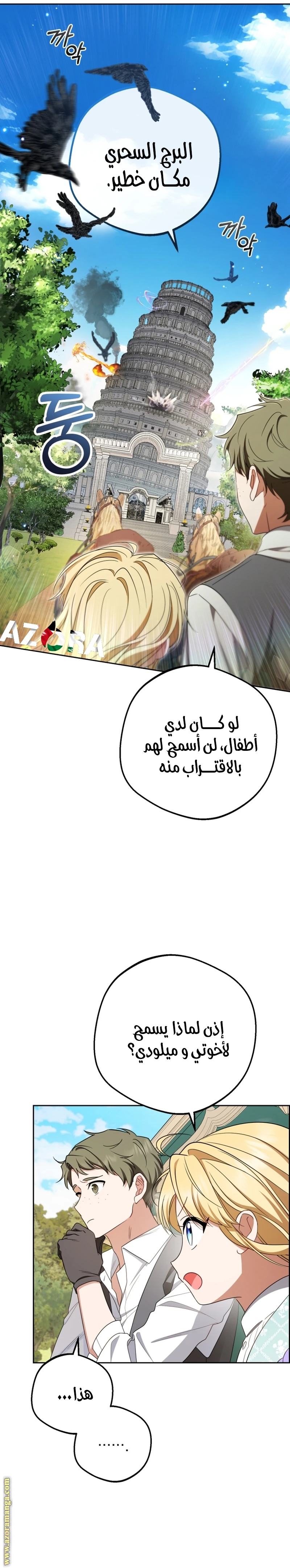 الصفحة 29
