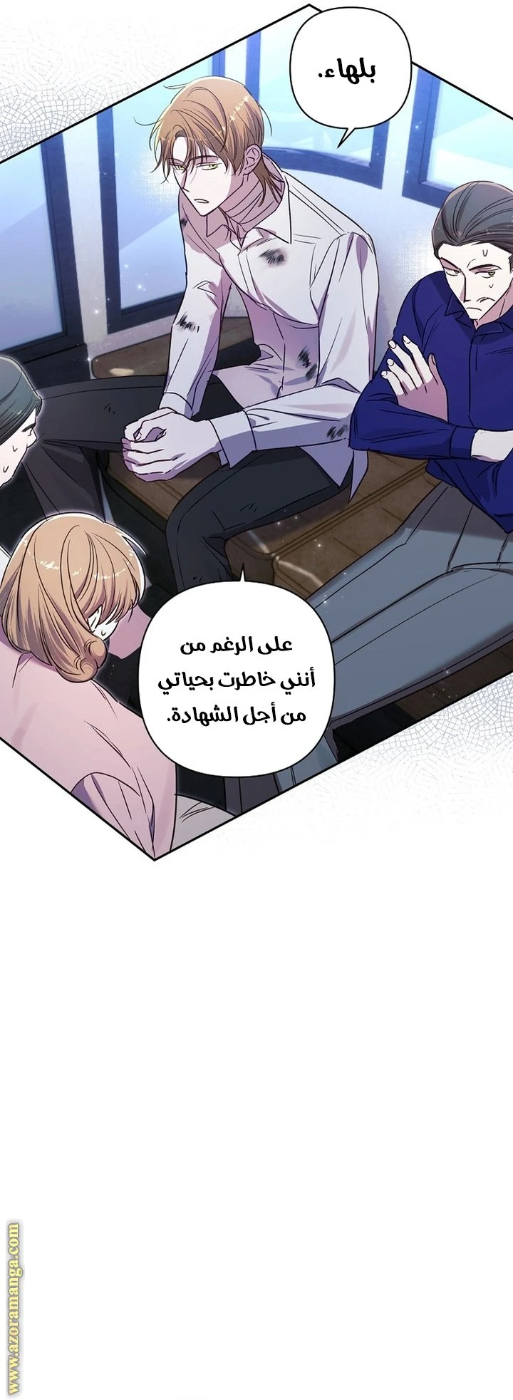 الصفحة 17