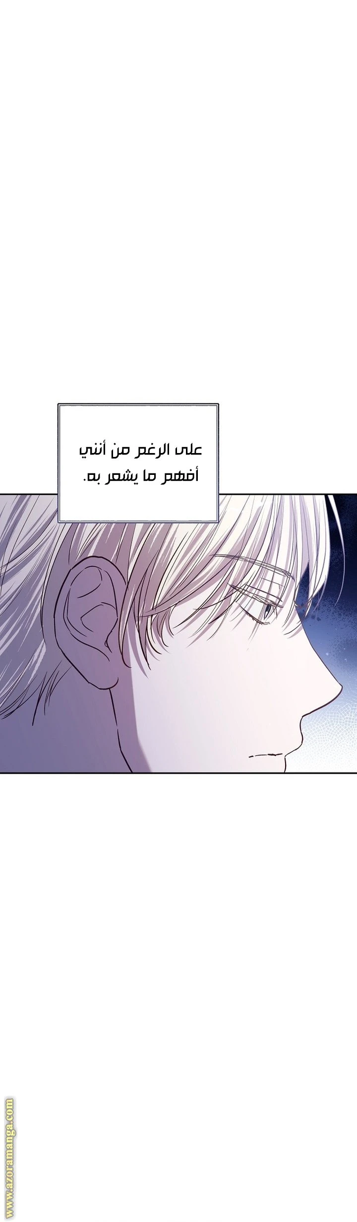 الصفحة 29