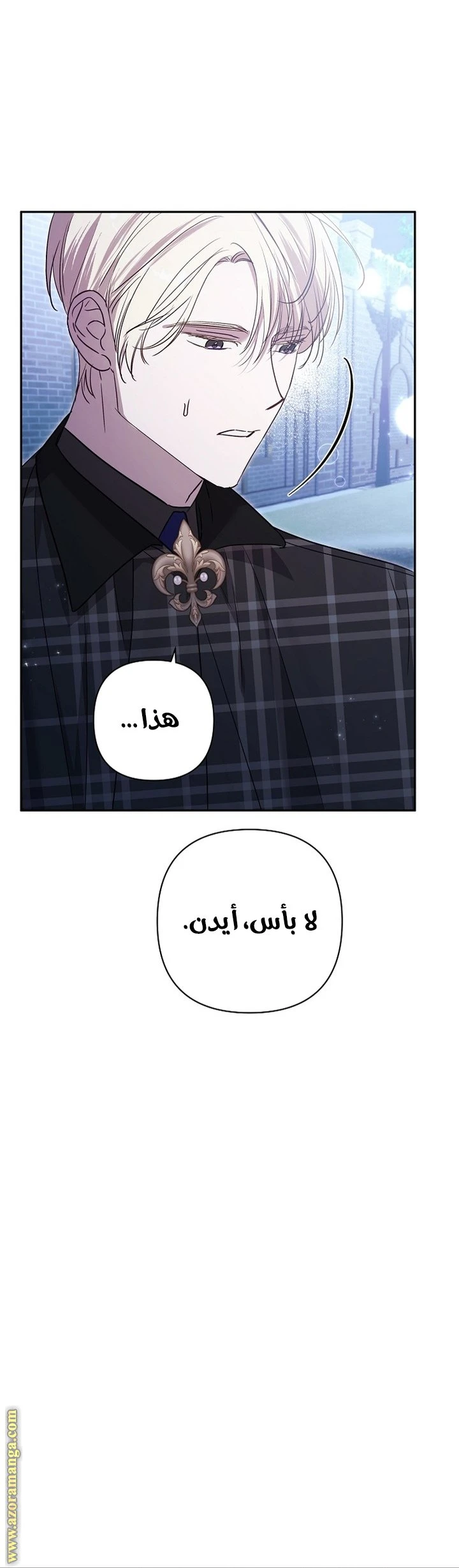الصفحة 43