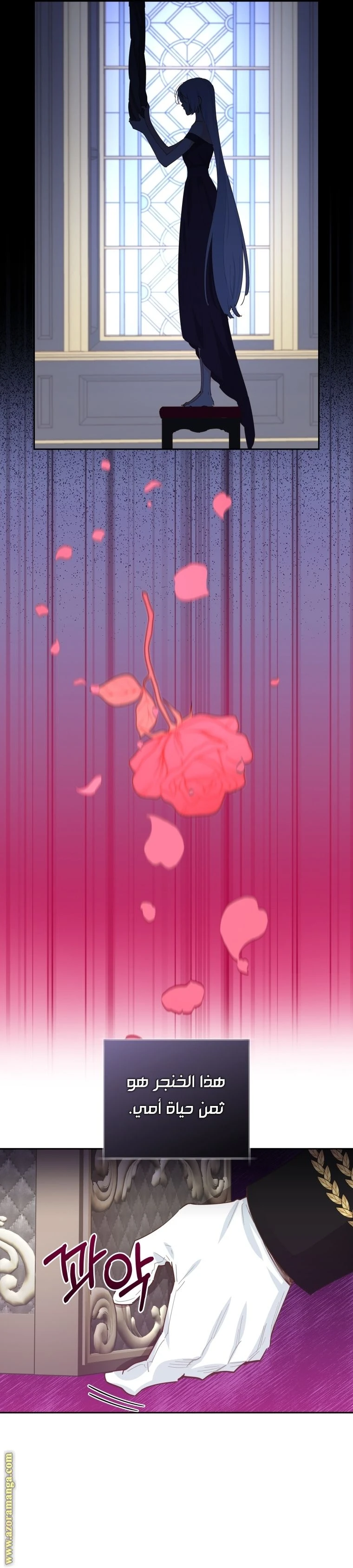 الصفحة 24