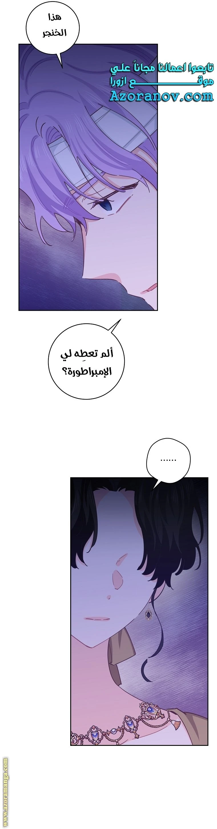 الصفحة 25