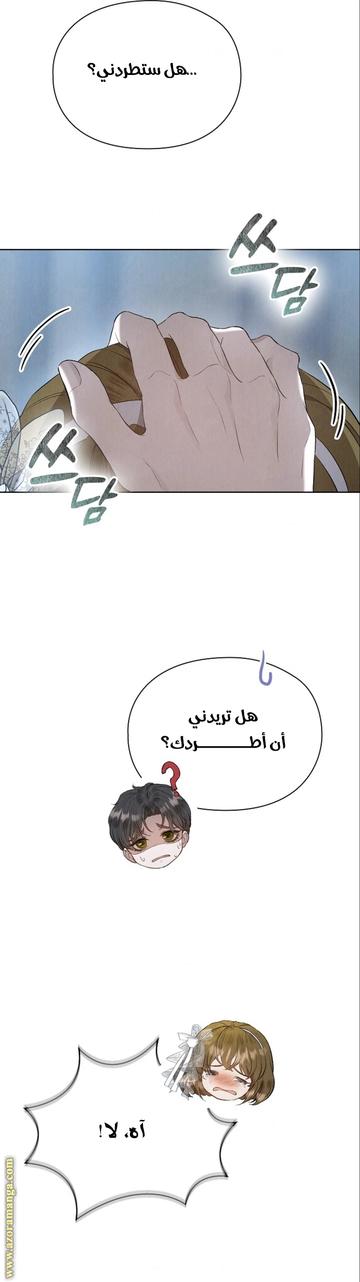 الصفحة 17