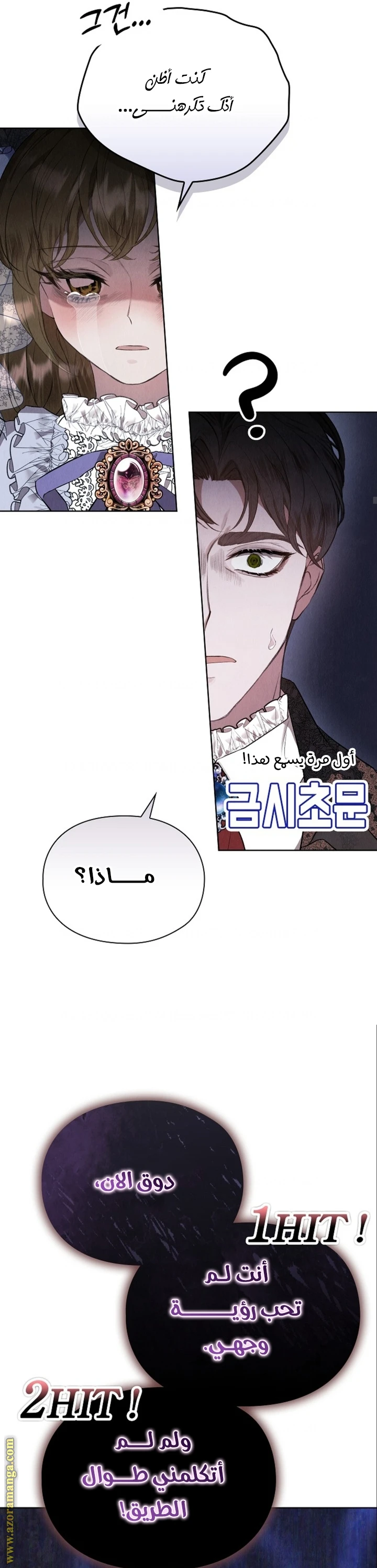 الصفحة 19