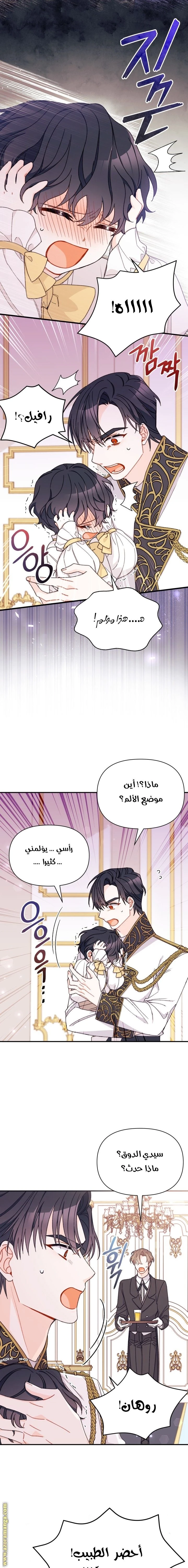 الصفحة 8