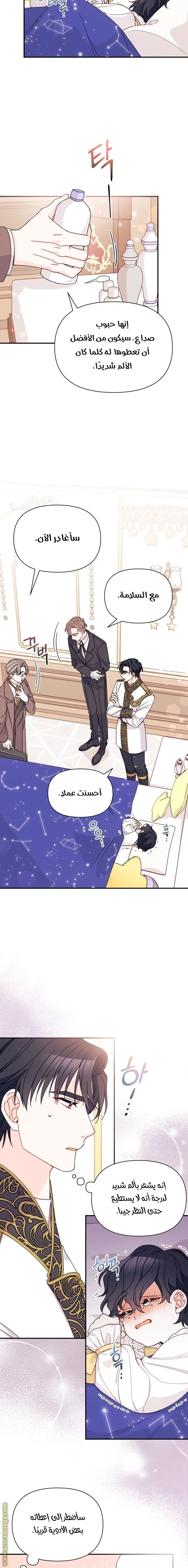 الصفحة 12