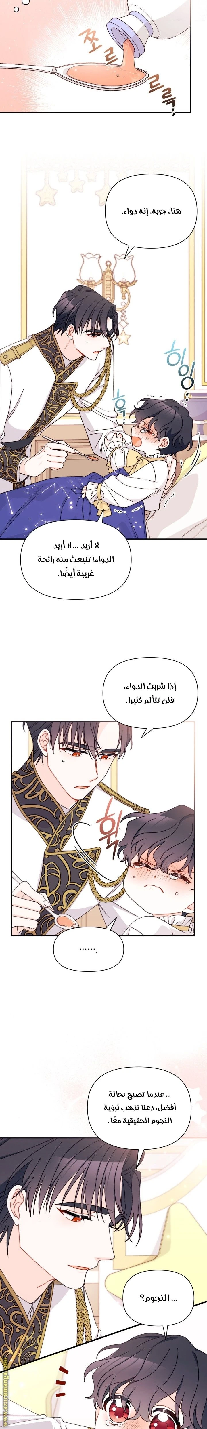 الصفحة 13