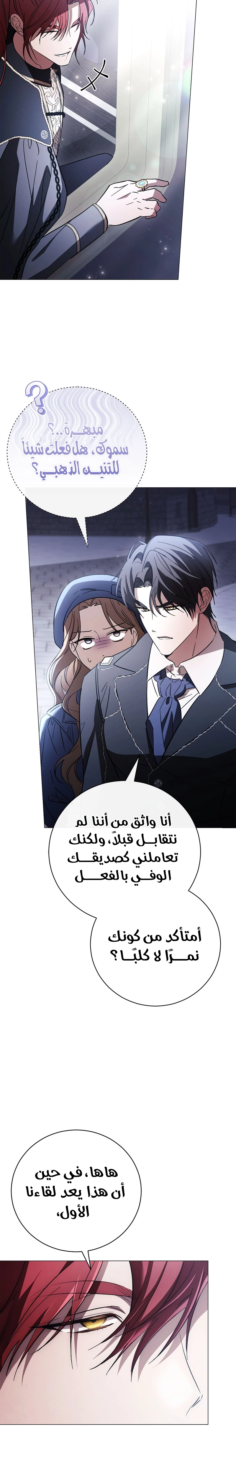 الصفحة 12
