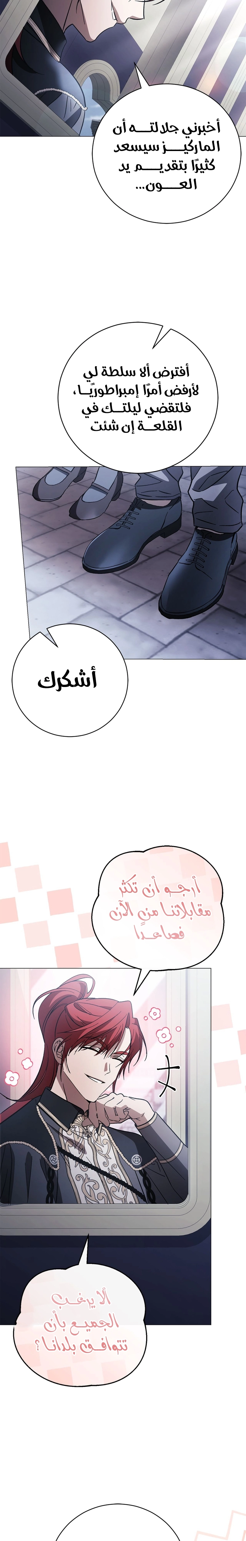 الصفحة 17