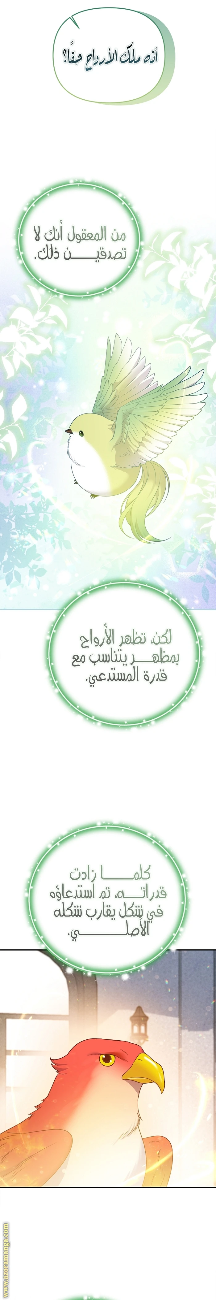 الصفحة 5