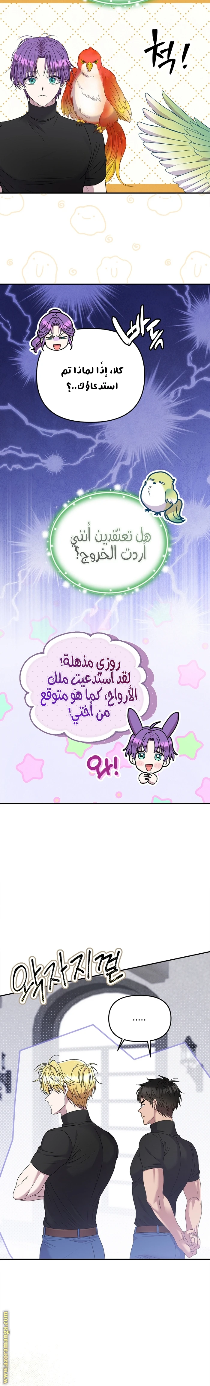 الصفحة 9