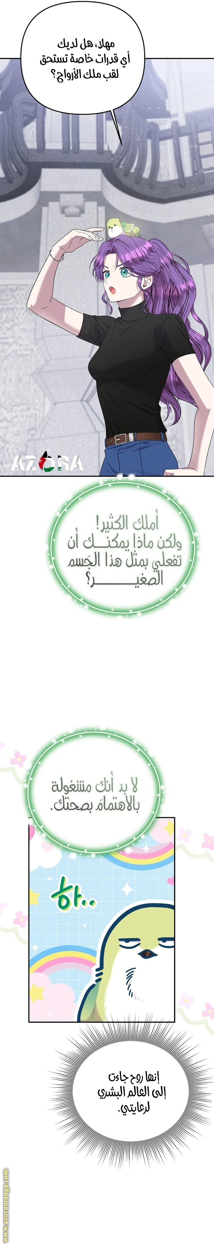 الصفحة 13
