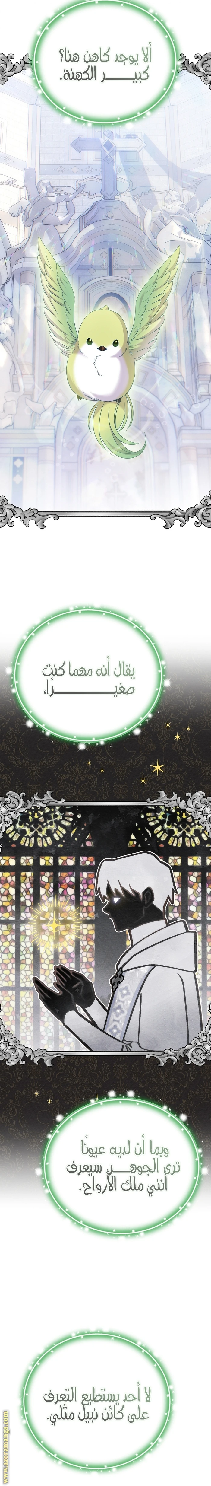 الصفحة 15