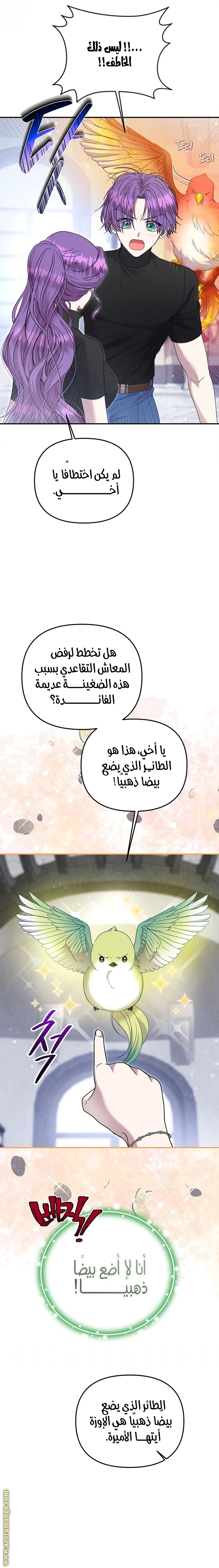 الصفحة 17