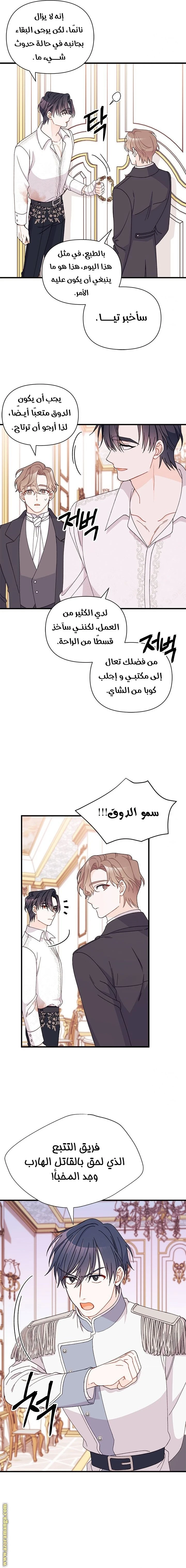 الصفحة 17