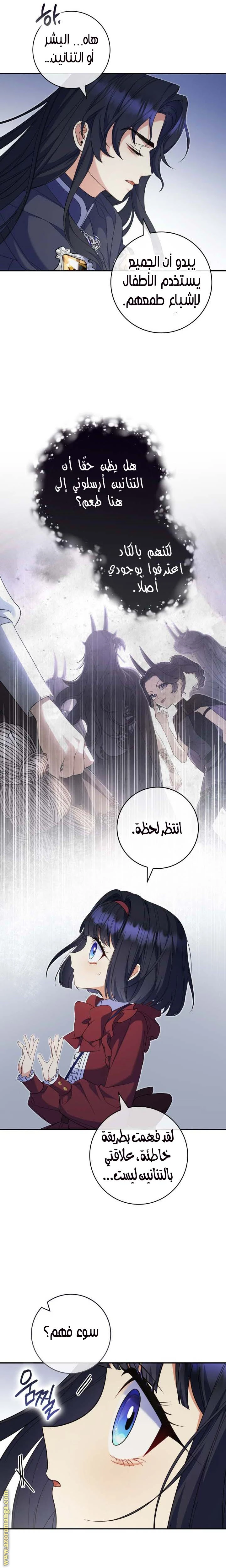 الصفحة 17