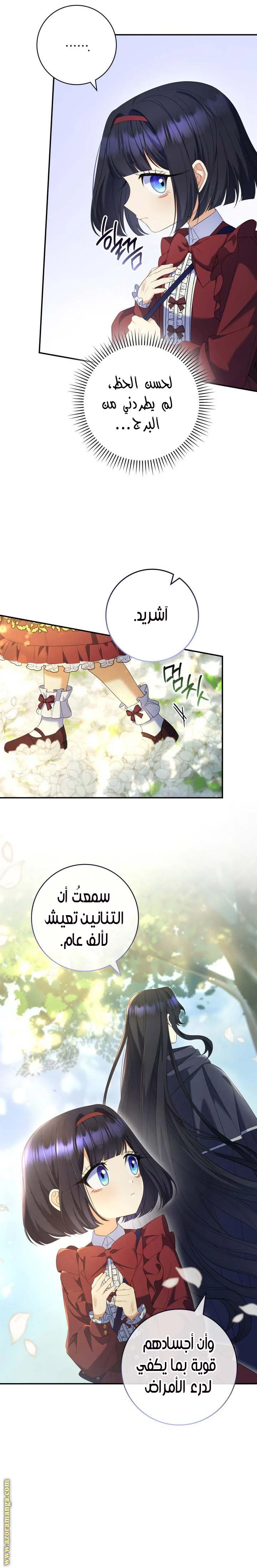 الصفحة 22