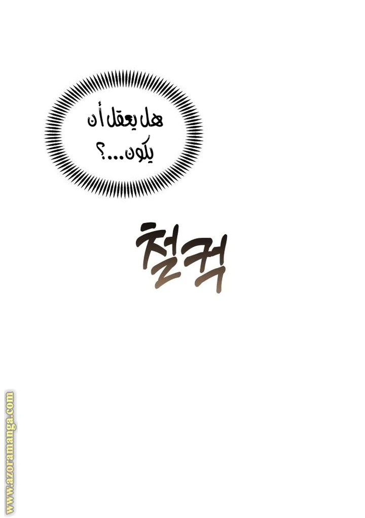 الصفحة 52