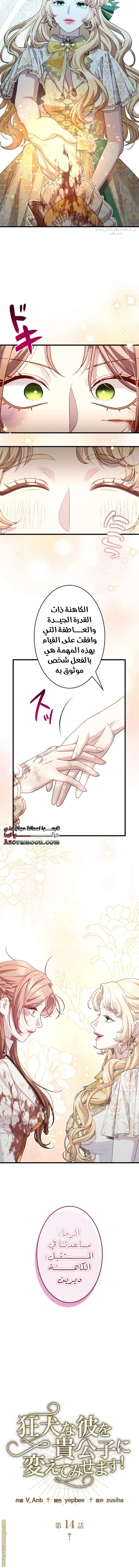 الصفحة 9