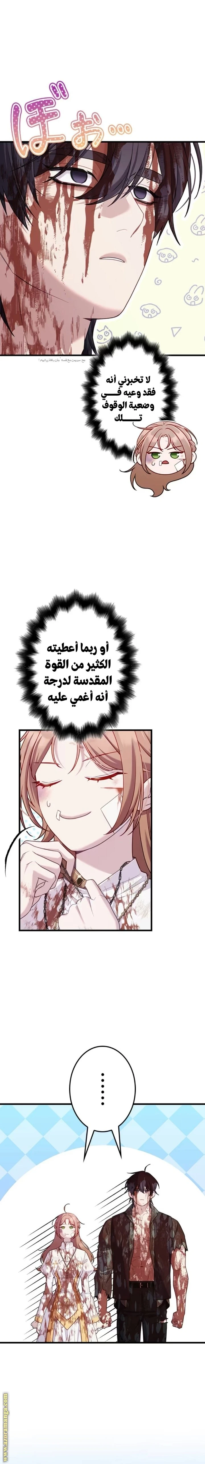 الصفحة 17