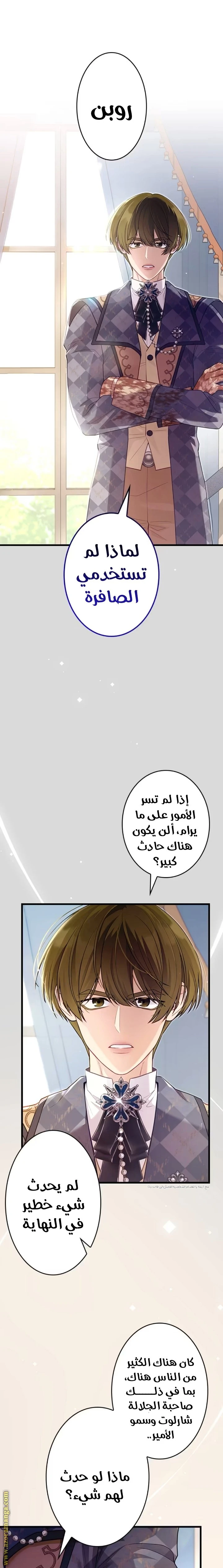 الصفحة 21