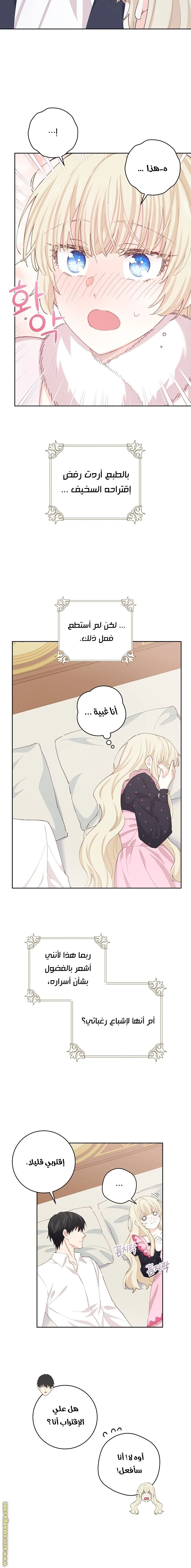 الصفحة 13
