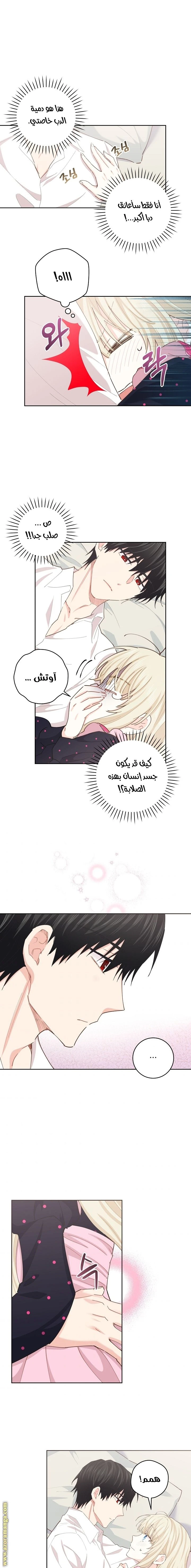 الصفحة 14