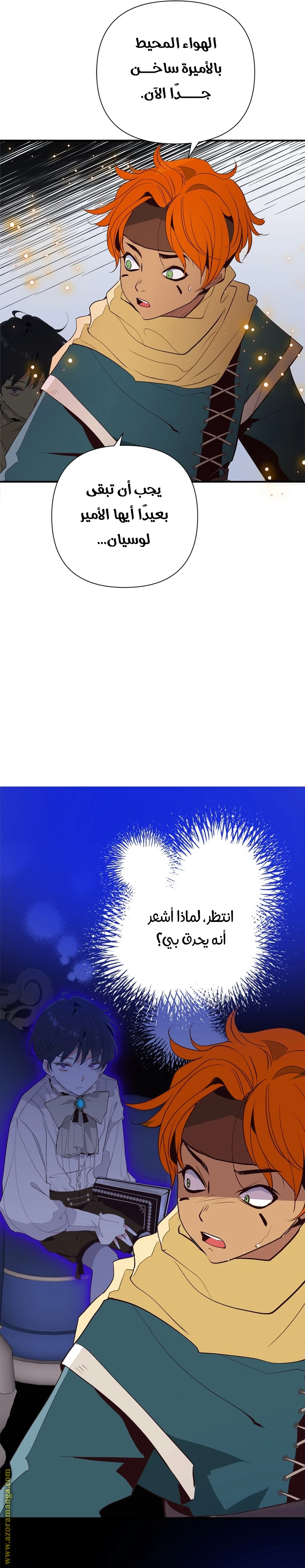 الصفحة 14