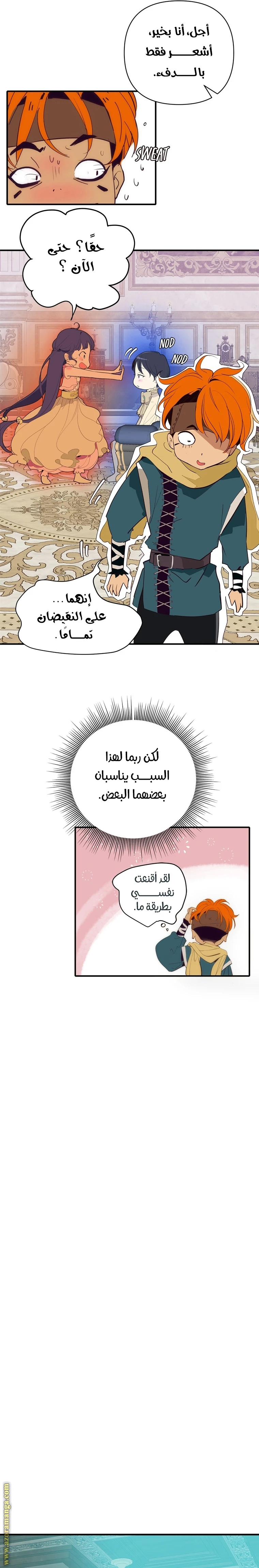 الصفحة 17