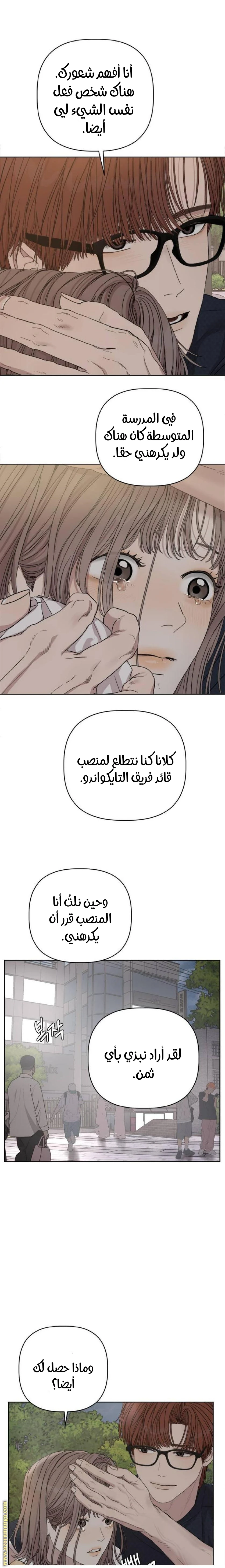 الصفحة 13