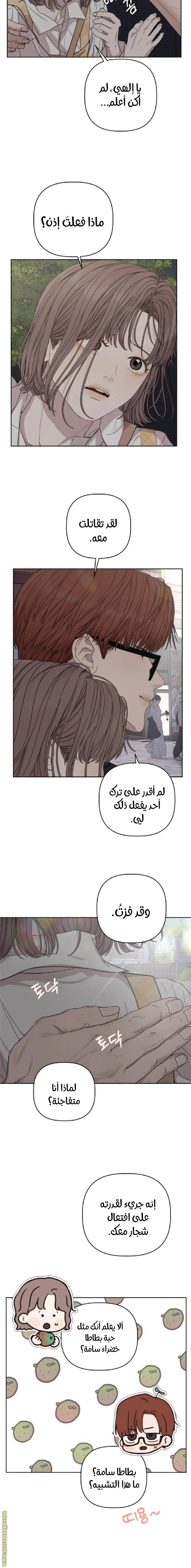 الصفحة 14