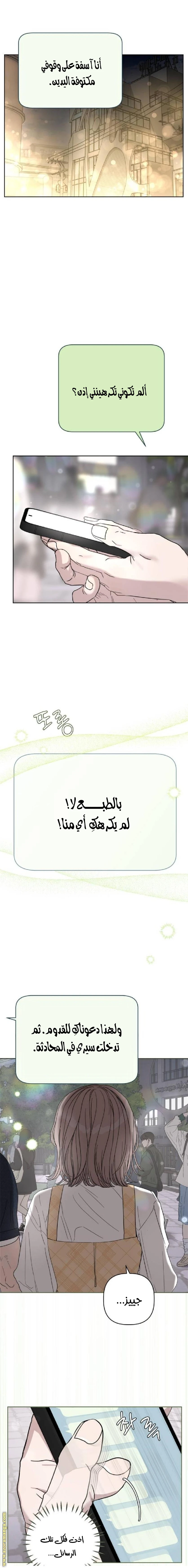 الصفحة 17