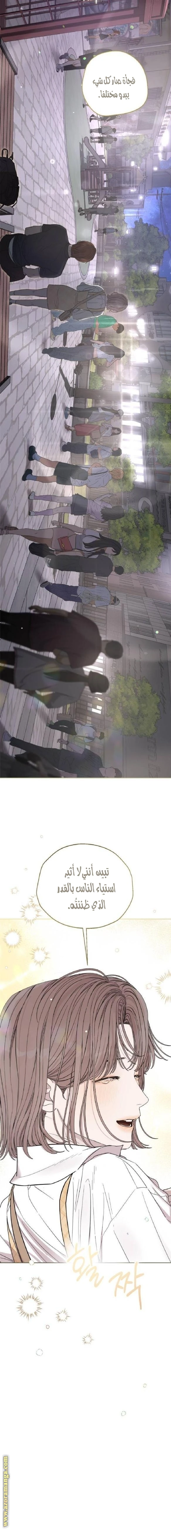 الصفحة 20